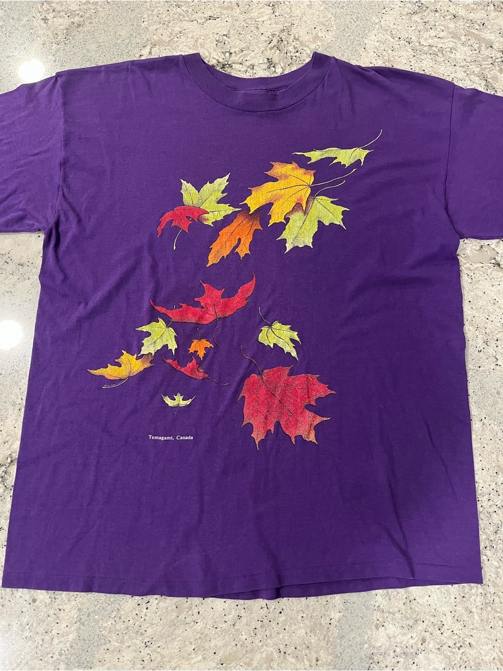 Vintage 90s Men’s Purple Autumn Leaves Tee